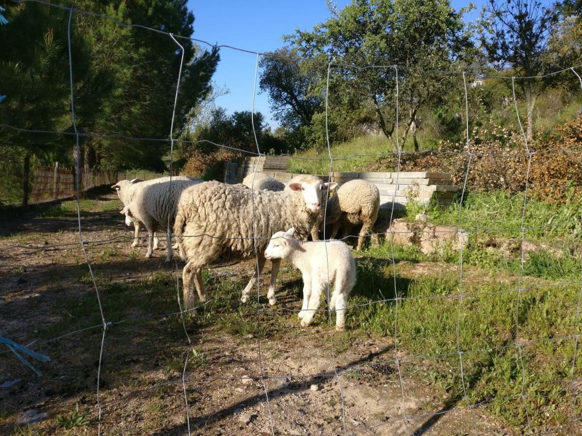 Ciborro Quinta Da Abrunheira - Gustavo Eiffelゲストハウス エクステリア 写真