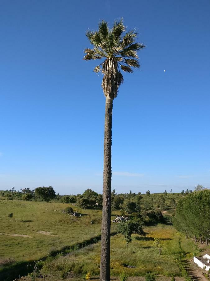 Ciborro Quinta Da Abrunheira - Gustavo Eiffelゲストハウス エクステリア 写真