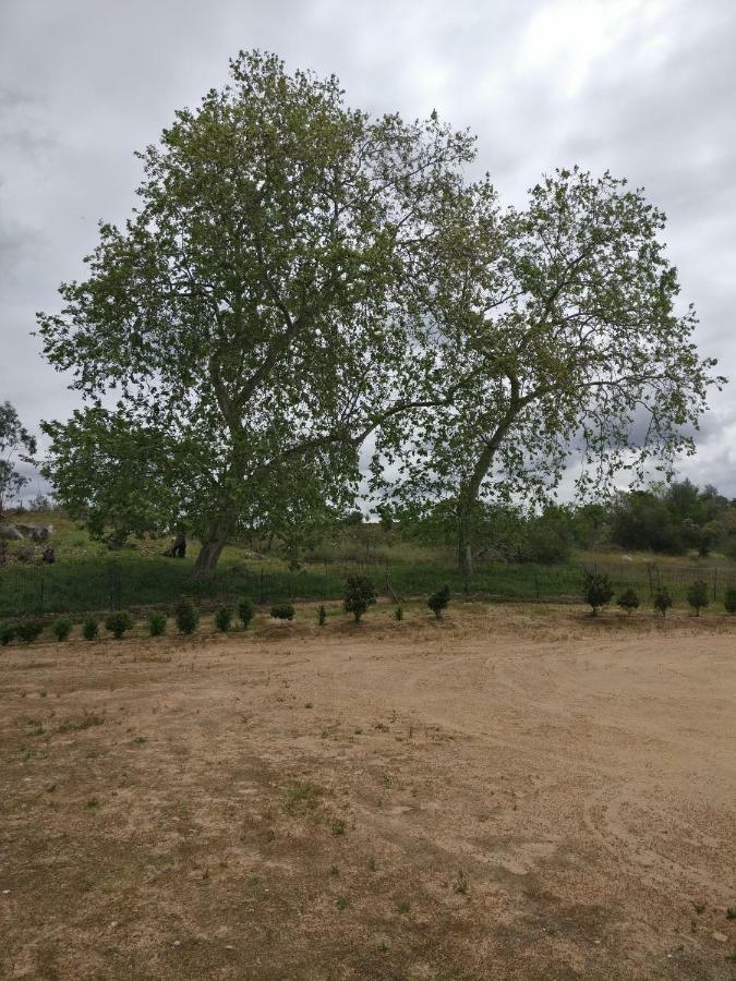 Ciborro Quinta Da Abrunheira - Gustavo Eiffelゲストハウス エクステリア 写真