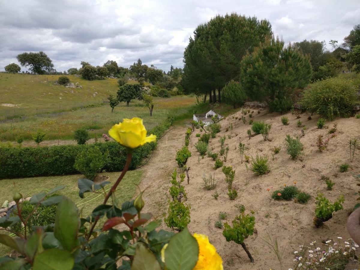 Ciborro Quinta Da Abrunheira - Gustavo Eiffelゲストハウス エクステリア 写真